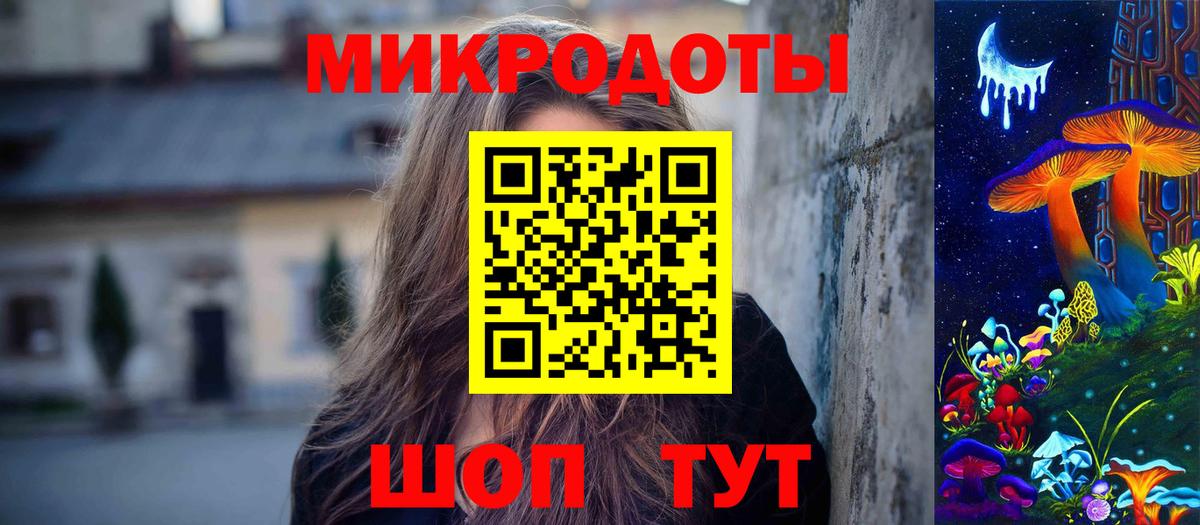Галлюциногенные грибы Psilocybe Карталы